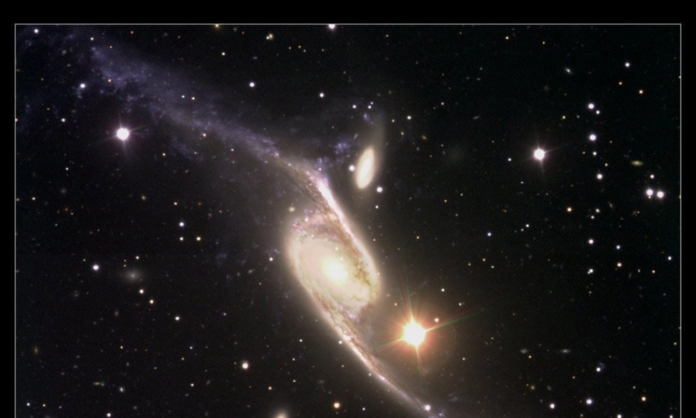 29课数星星的孩子