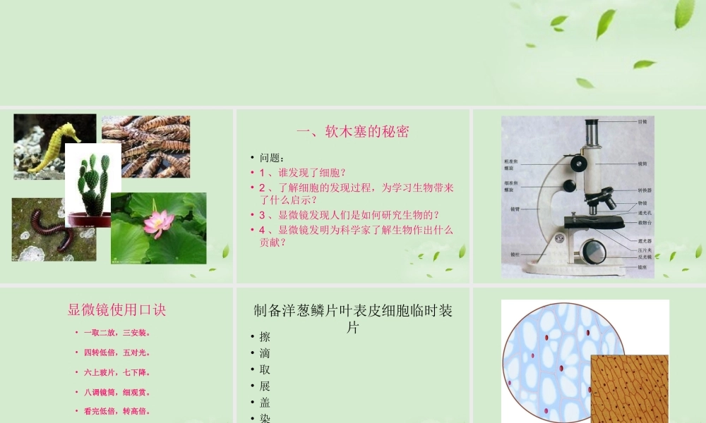 七年级生物 7.1生物体的基本结构课件 苏科版  课件