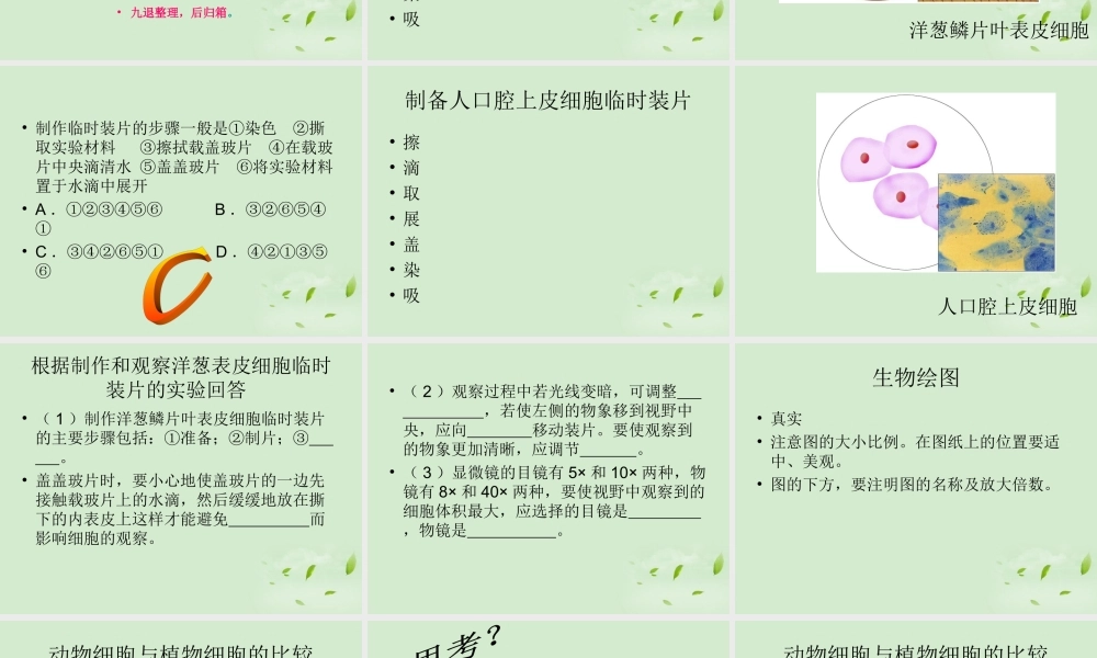 七年级生物 7.1生物体的基本结构课件 苏科版  课件