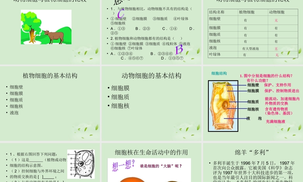 七年级生物 7.1生物体的基本结构课件 苏科版  课件