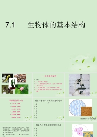 七年级生物 7.1生物体的基本结构课件 苏科版  课件