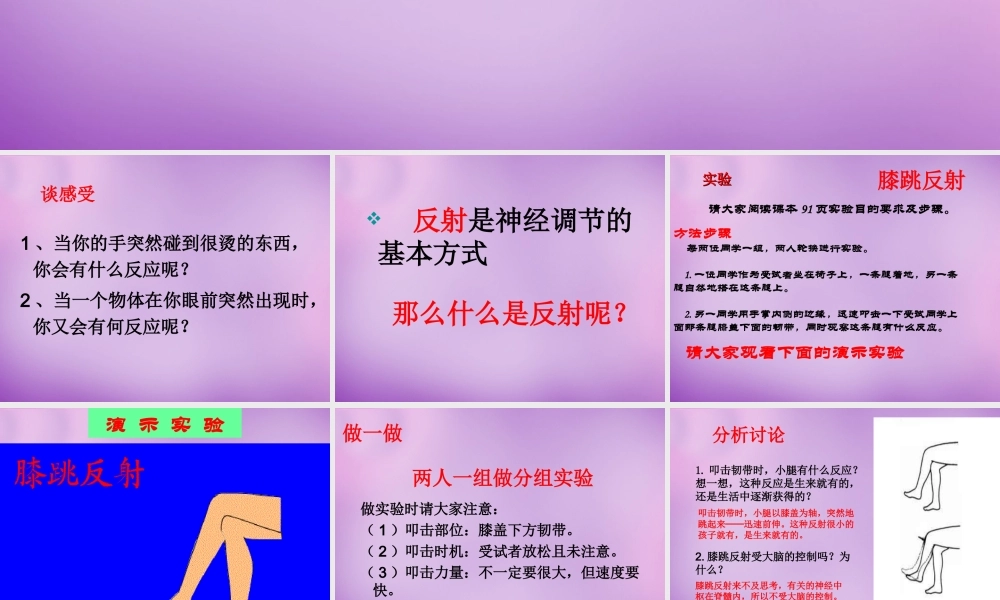 七年级生物下册(6.3 神经调节的基本方式)课件 新人教版 课件