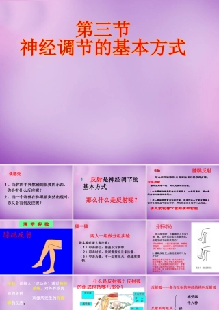 七年级生物下册(6.3 神经调节的基本方式)课件 新人教版 课件