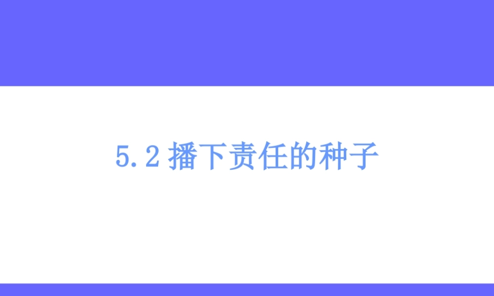 播下责任的种子说课