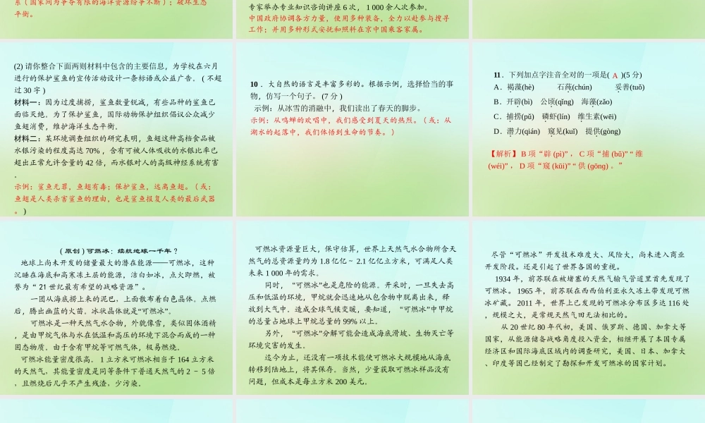 八年级语文上册 第五单元 19.海洋是未来的粮仓习题课件 语文版 课件