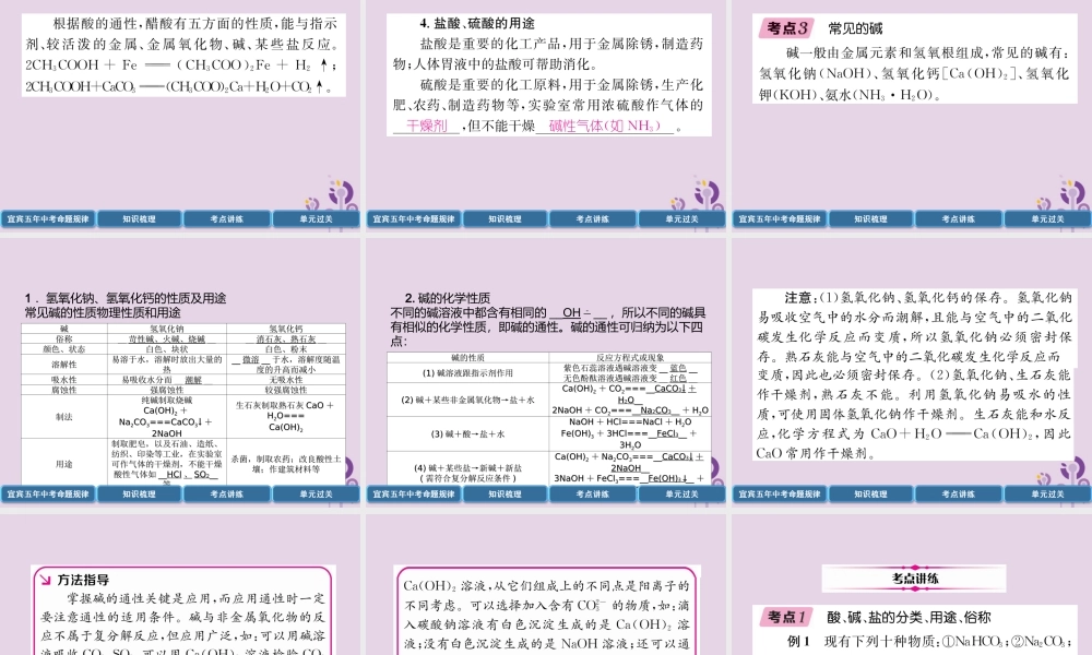 中考化学总复习 第1编 教材知识梳理 第10单元 酸和碱 第1讲 常见的酸和碱(精讲)课件