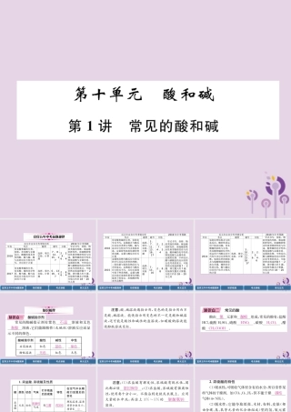 中考化学总复习 第1编 教材知识梳理 第10单元 酸和碱 第1讲 常见的酸和碱(精讲)课件