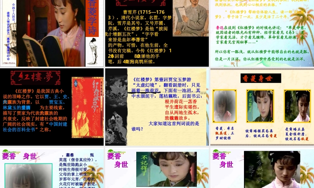 九年级语文上册(香菱学诗)优秀课件(49页)人教新课标版 课件