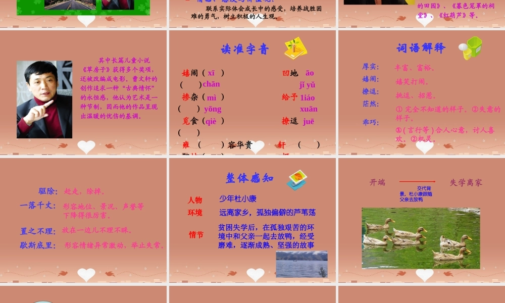 九年级语文上册 第10课(孤独之旅)课件 新人教版 课件