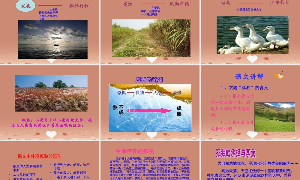 九年级语文上册 第10课(孤独之旅)课件 新人教版 课件