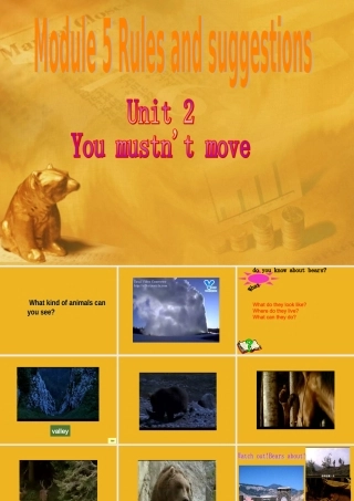 九年级英语下册 Module 5 Unit 2 You mustn t move课件 外研版 课件