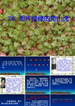 那绿绿的爬山虎