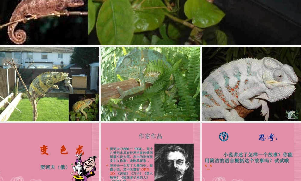 八年级语文下册(变色龙)1课件 苏教版 课件