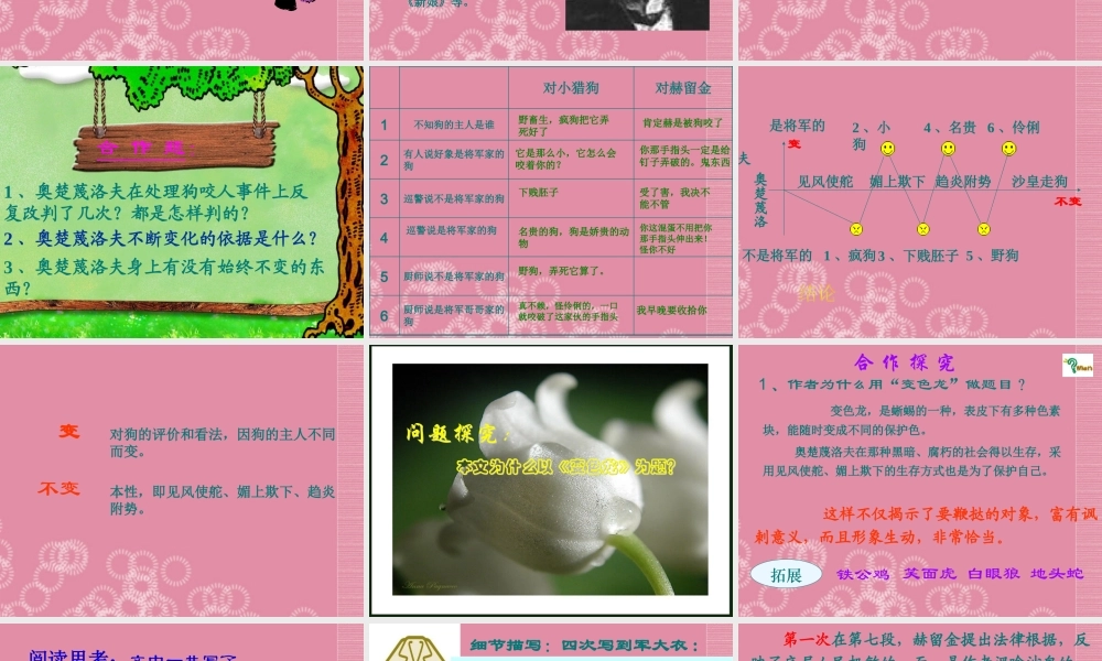 八年级语文下册(变色龙)1课件 苏教版 课件