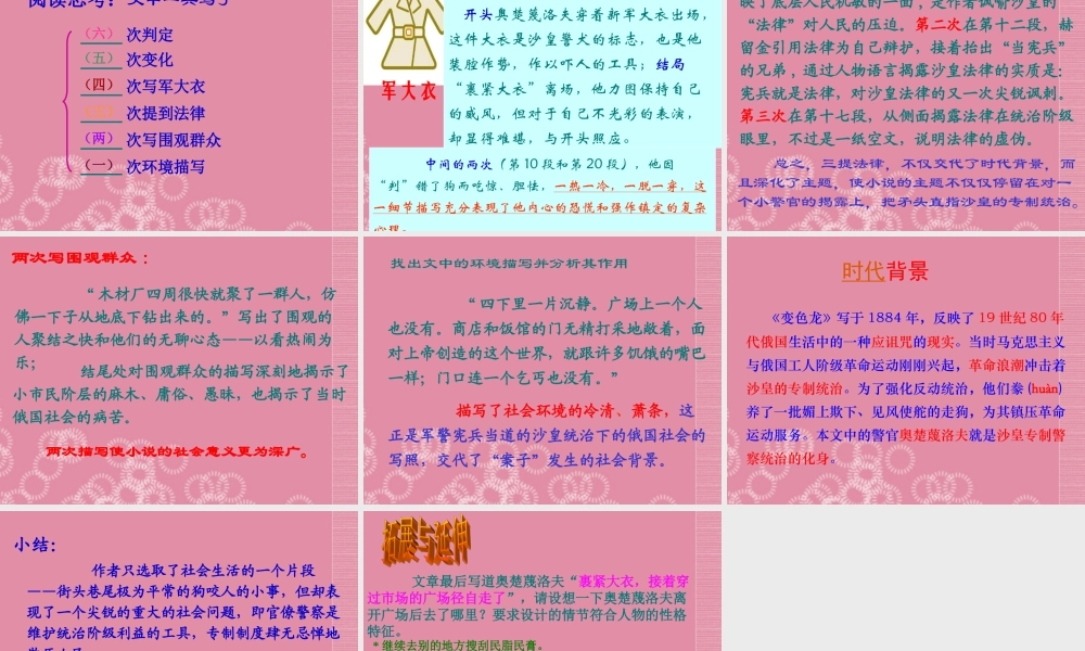 八年级语文下册(变色龙)1课件 苏教版 课件