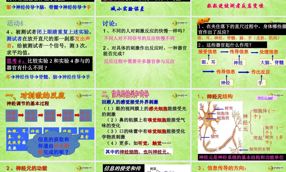 八年级科学上册 第三章 生命活动的调节 第3节 神经调节(第1课时)课件 浙教版 课件