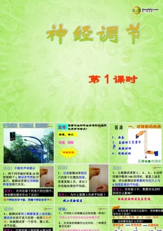 八年级科学上册 第三章 生命活动的调节 第3节 神经调节(第1课时)课件 浙教版 课件