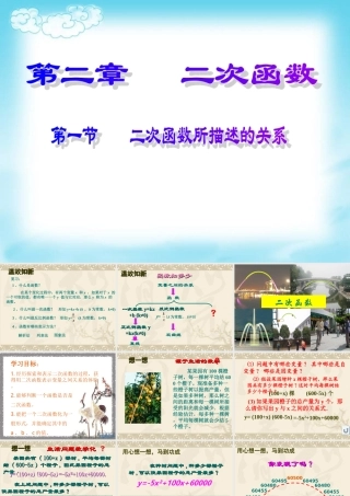 二次函数所描述的关系.1二次函数所描述的关系