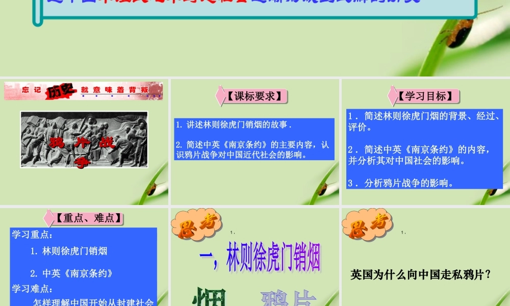 八年级历史上册 (鸦片战争)公开课课件 北师大版 课件