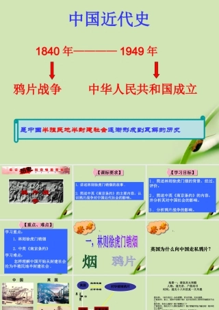 八年级历史上册 (鸦片战争)公开课课件 北师大版 课件