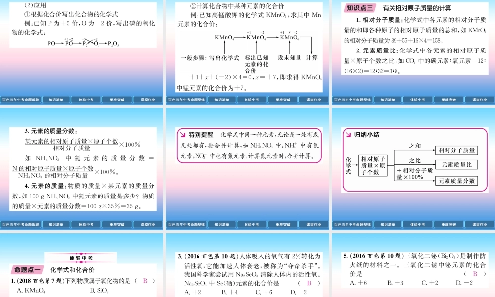 中考化学复习 第1编 教材知识梳理篇 第4单元 自然界的水 第2讲 化学式和化合价(精讲)课件