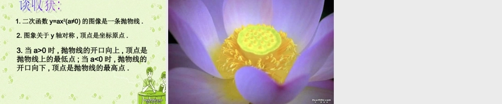 九年级数学二次函数的图像课件 浙教版 课件