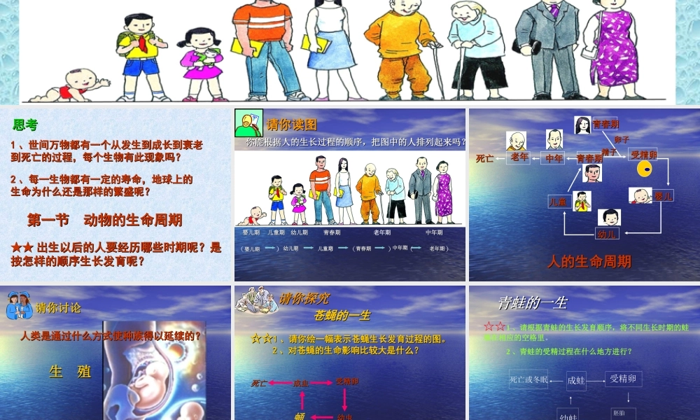 七年级科学下册 第三章备课提纲课件素材 浙教版 课件