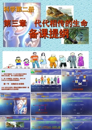 七年级科学下册 第三章备课提纲课件素材 浙教版 课件