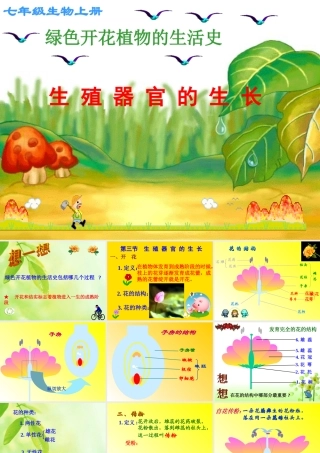 七年级生物上册 第6章第3节 生殖器官的生长课件 北师大版 课件