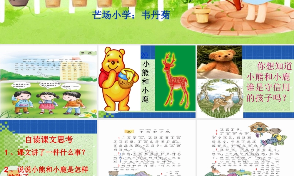 小熊和小鹿课件