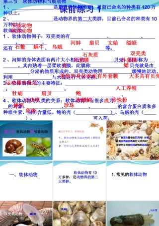 生物软体动物和节肢动物