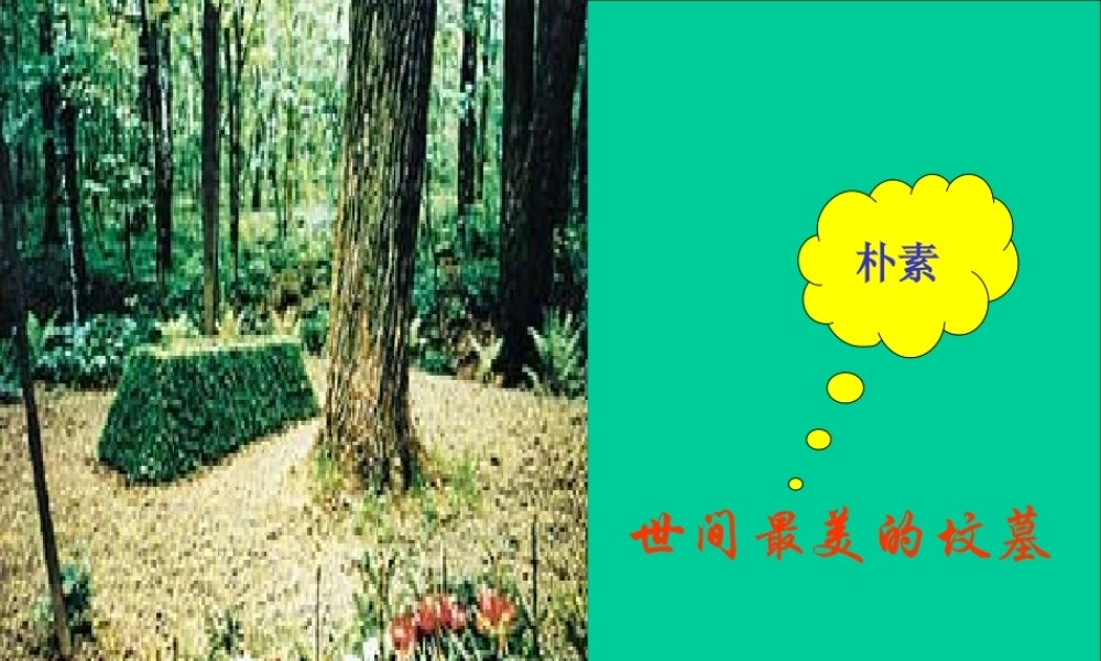 世纪最美的坟墓