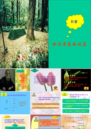 世纪最美的坟墓