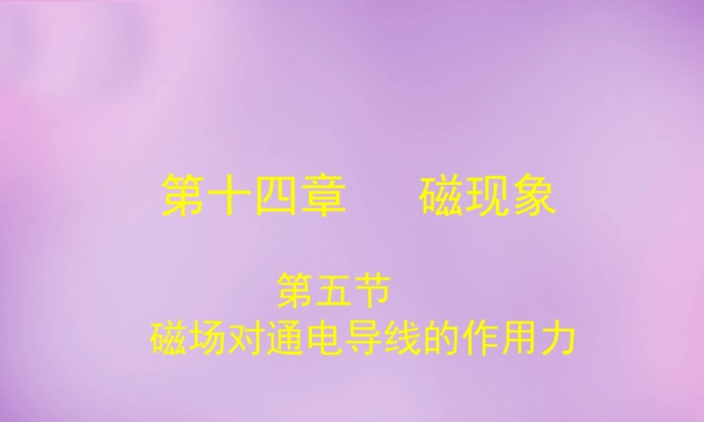 九年级物理全册 145 磁场对通电导线的作用力课件 (新版)北师大版 课件