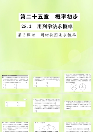九年级数学上册 第二十五章 概率初步 252 用列举法求概率 第2课时 用树状图法求概率课件 (新版)新人教版 课件