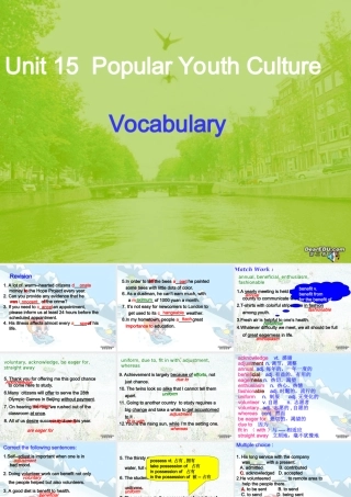 新课标Unit15 Popular Youth Culture Vocabulary 课件