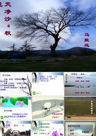 七年级语文上册课件：第二单元4([越调]天净沙 秋思)北师大版 课件