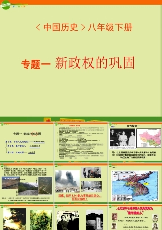 八年级历史下册(新政权的巩固)课件 人教新课标版 课件