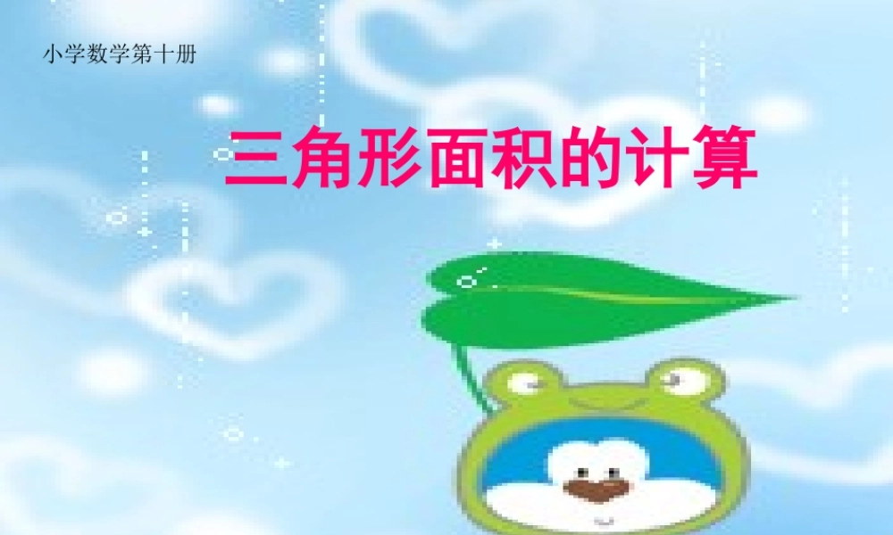 三角形的面积计算 (2)