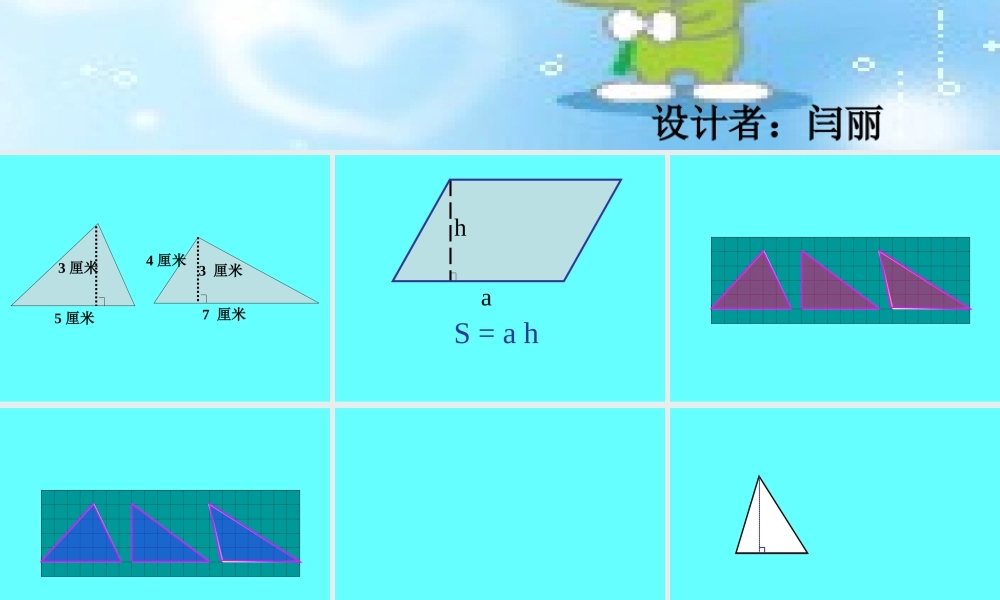 三角形的面积计算 (2)