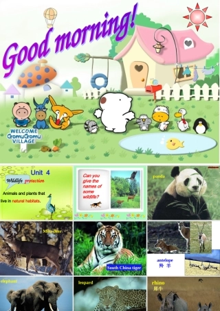 WildlifeProtection