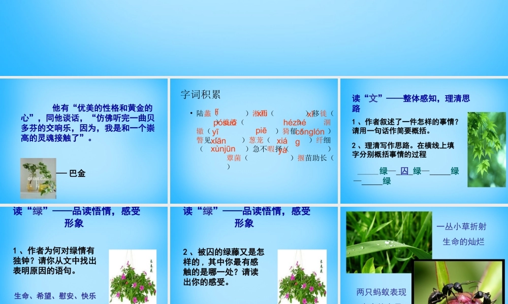 九年级语文上册 23(囚绿记)课件 苏教版 课件