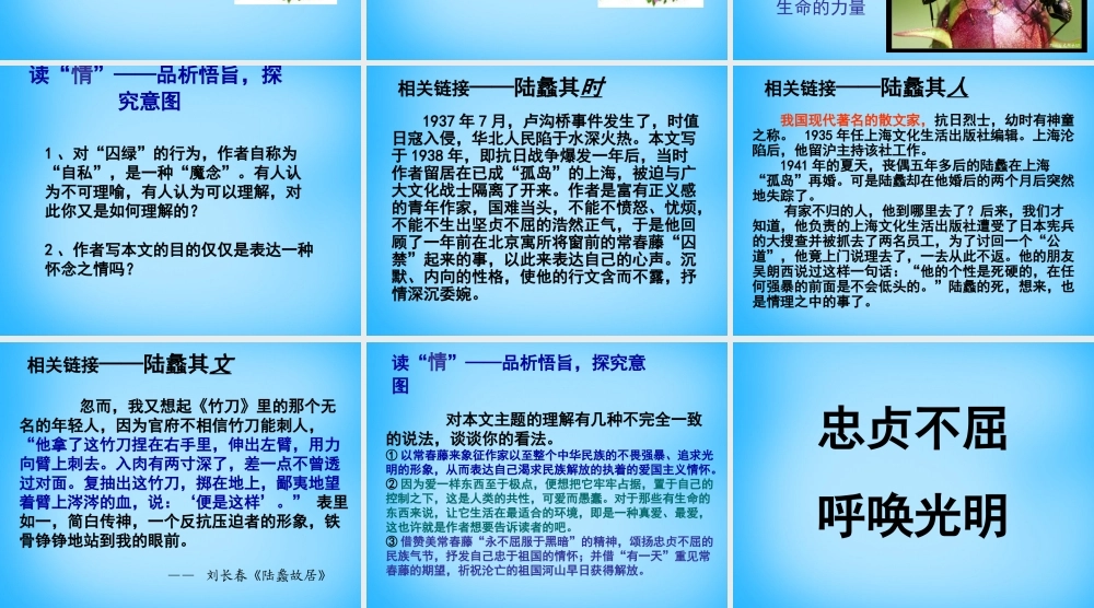 九年级语文上册 23(囚绿记)课件 苏教版 课件