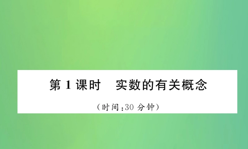 中考数学复习 第1章 数与式 第1课时 实数的有关概念(精练)课件