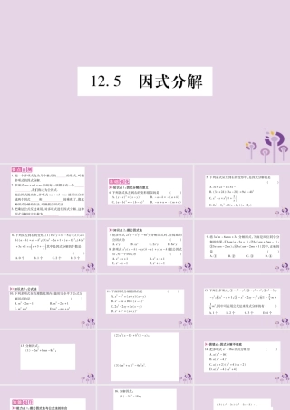 八年级数学上册 第12章 整式的乘除 12.5 因式分解作业课件 (新版)华东师大版 课件