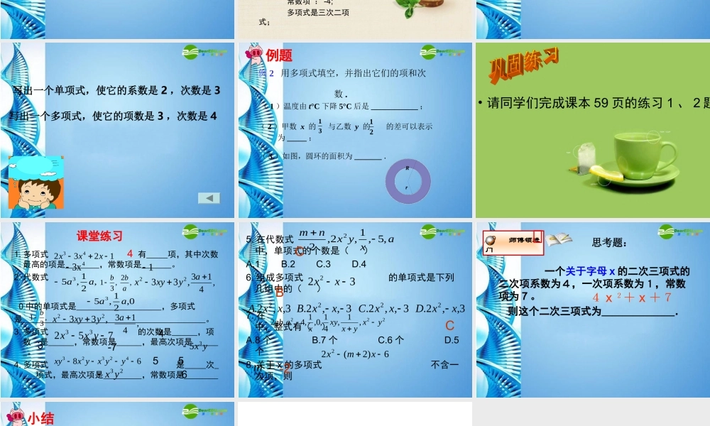 七年级数学上册 第二章第一节(整式)课件 人教新课标版 课件