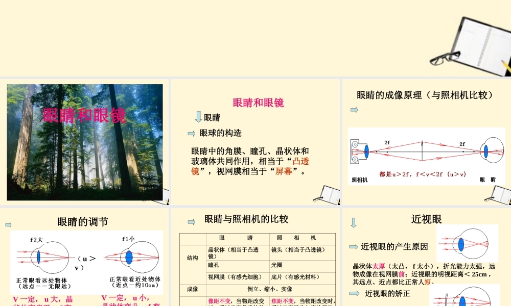 八年级物理下册 6.4(眼睛和眼镜)课件 北师大版 课件