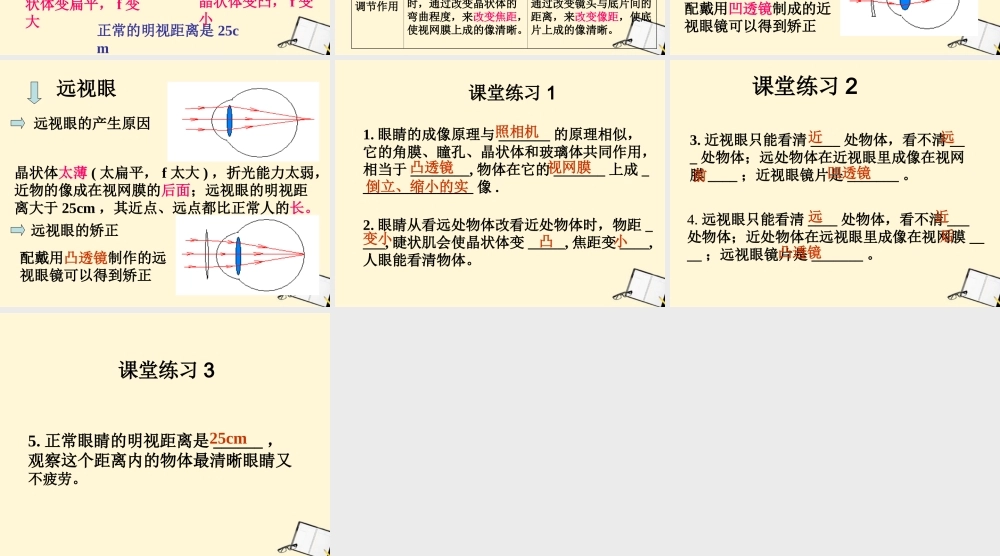 八年级物理下册 6.4(眼睛和眼镜)课件 北师大版 课件