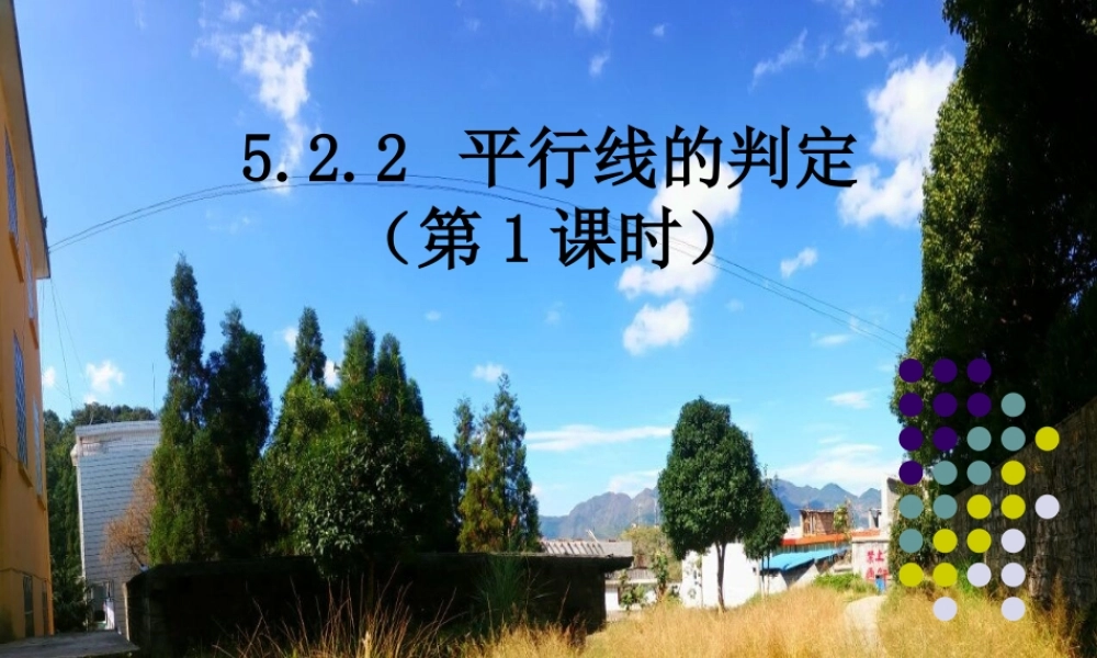 平行线及其判定-(4)