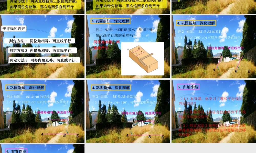 平行线及其判定-(4)